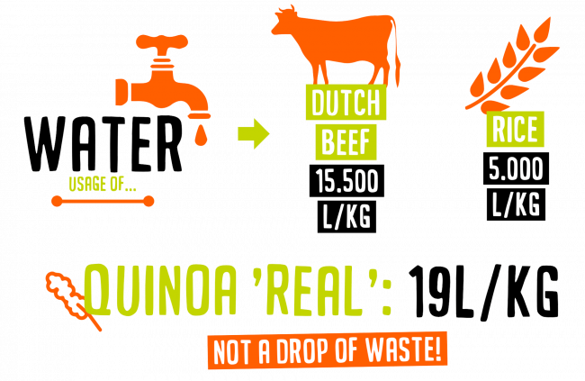 Water waste of producing Quinoa vs Beef or Rice